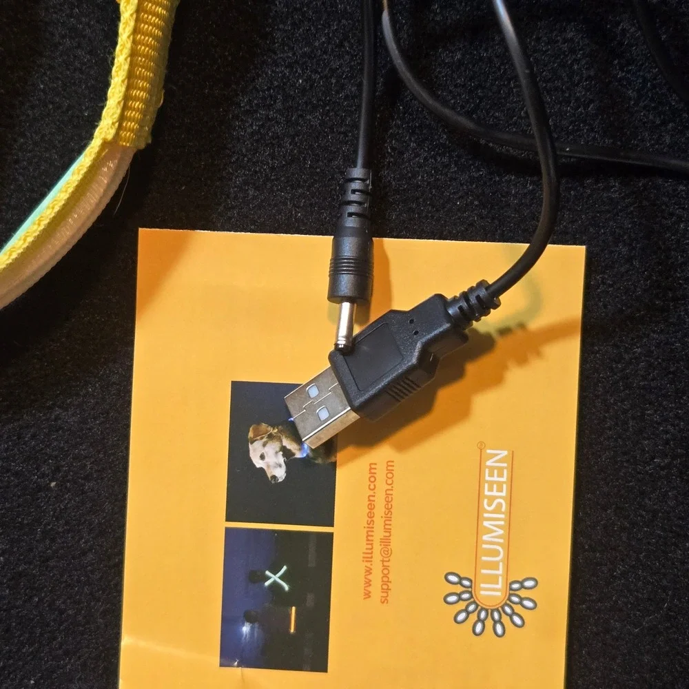 Illumiseen LED Dog Collar Yellow Rechargeable USB High Visibility Small Safety
